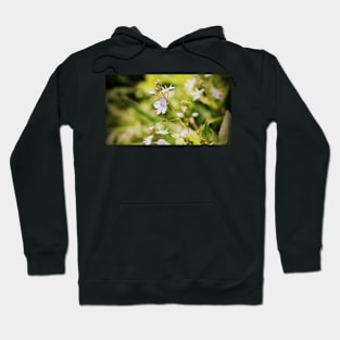 Speedwell wildflowers Hoodie